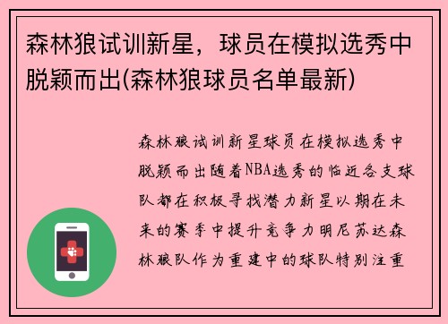 森林狼试训新星，球员在模拟选秀中脱颖而出(森林狼球员名单最新)